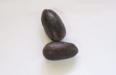 NUTMEG PRODUCT